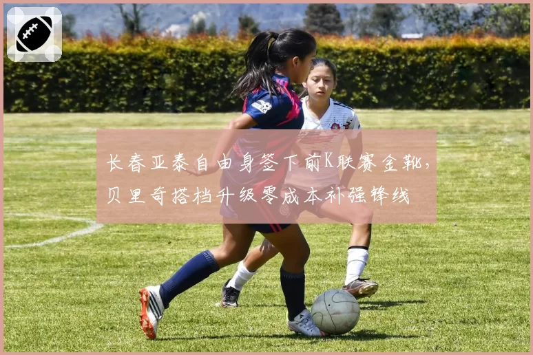 长春亚泰自由身签下前K联赛金靴，贝里奇搭档升级零成本补强锋线