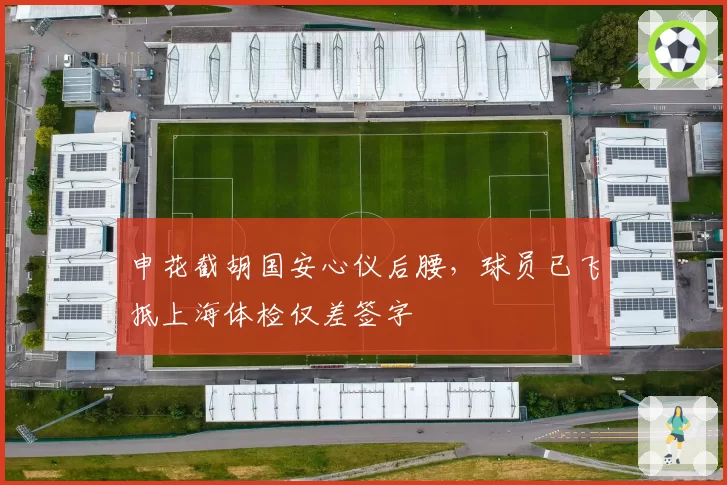 申花截胡国安心仪后腰,球员已飞抵上海体检仅差签字