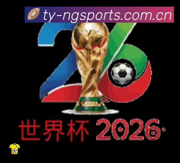 安全使用与支持流程